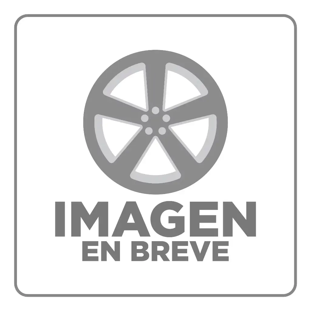 RIN 17X8.5 4-100/114.3 R1 SPORT JCW257 SILVER MACHINE FACE ET20 CB73.1